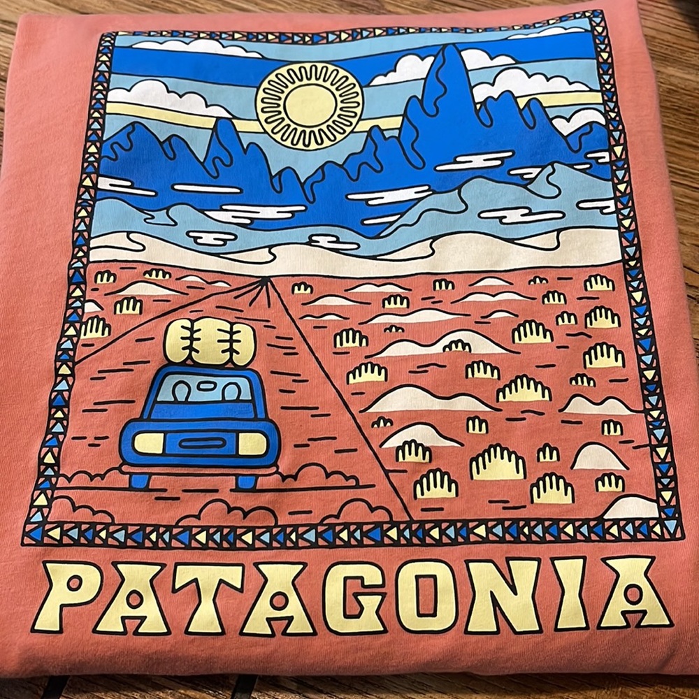 Patagonia T Shirt